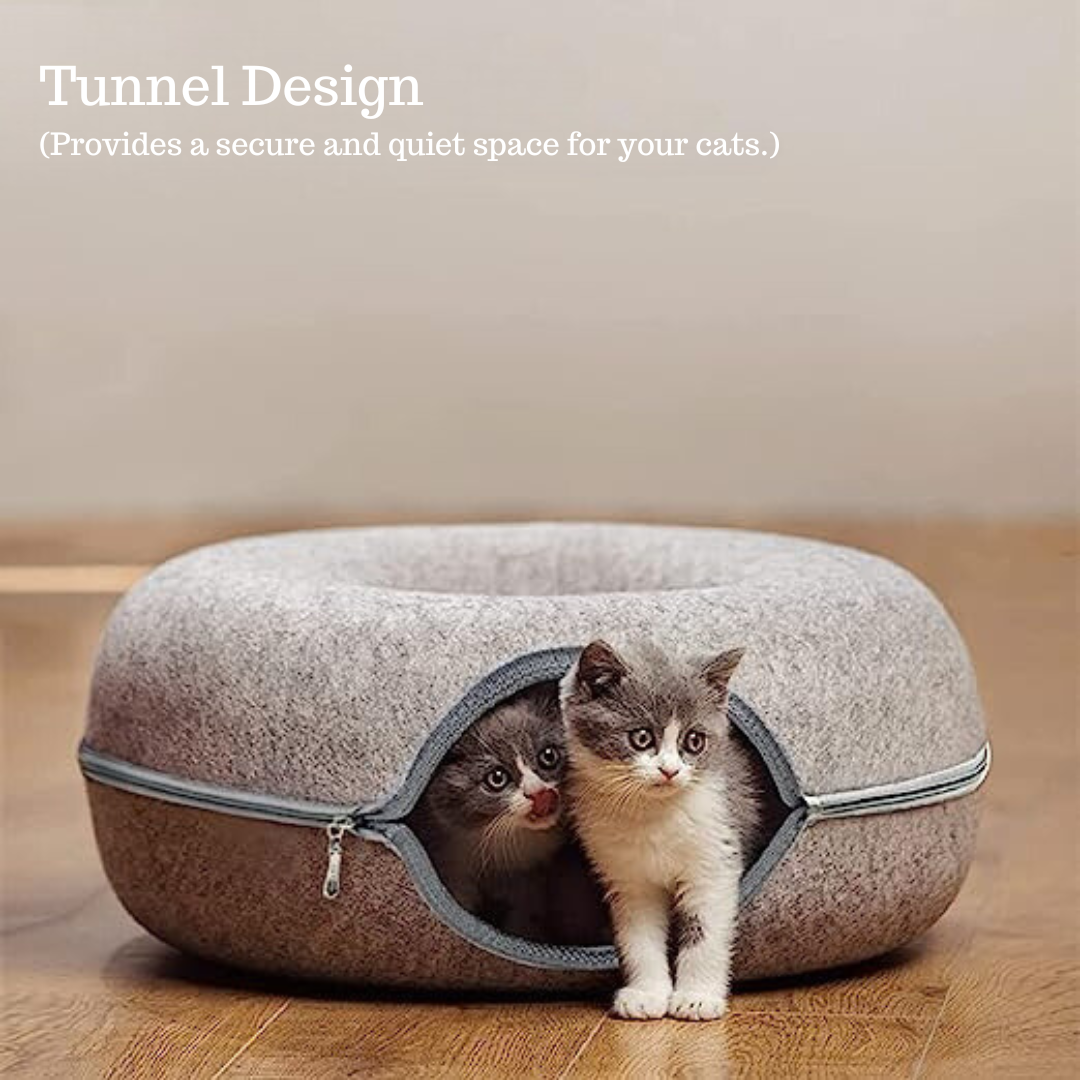 Sterling | Cat Donut Tunnel