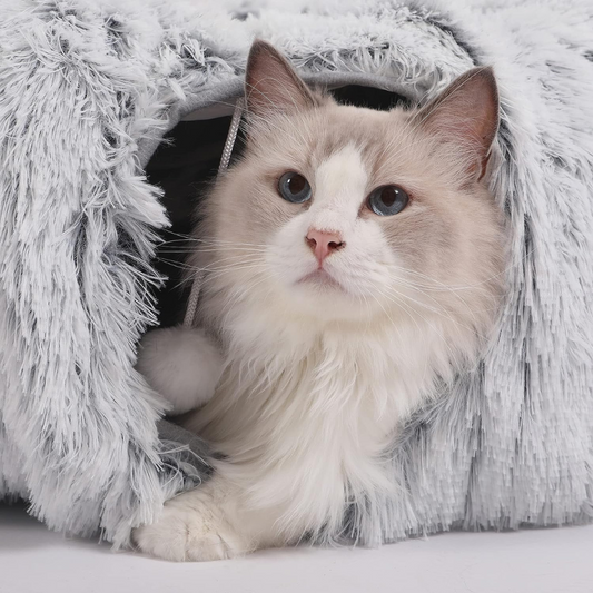 Duchess | WhiskerHaven Tunnel Bed