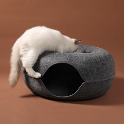 Sterling | Cat Donut Tunnel