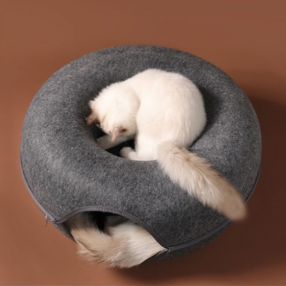 Sterling | Cat Donut Tunnel