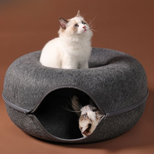 Sterling | Cat Donut Tunnel